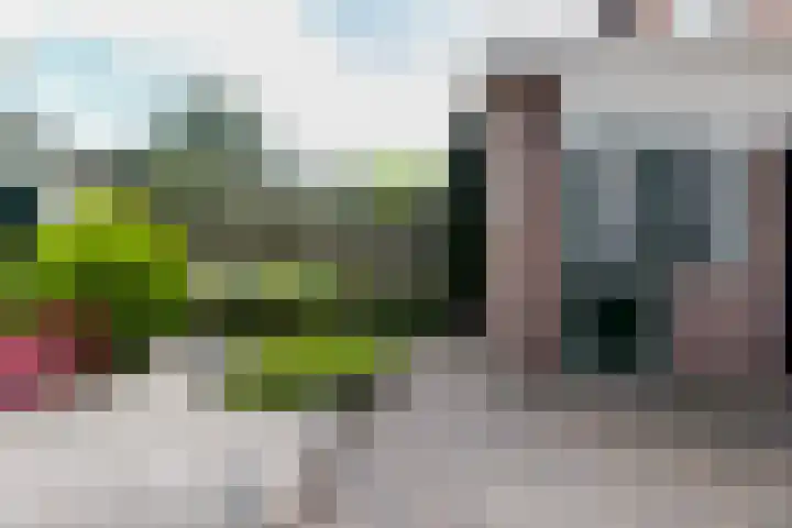 Zuiderzeestraat 38 Aartswoud thumbnail 35