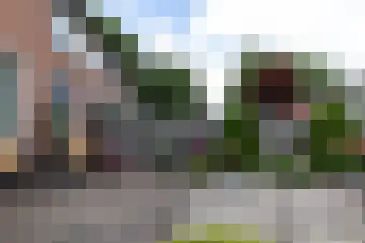 Zuiderzeestraat 38 Aartswoud thumbnail 36