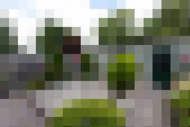 Zuiderzeestraat 38 Aartswoud thumbnail 37