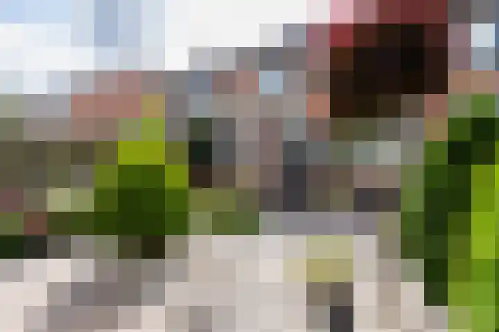 Zuiderzeestraat 38 Aartswoud thumbnail 39