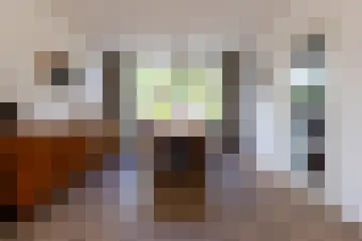 Zuiderzeestraat 38 Aartswoud thumbnail 9