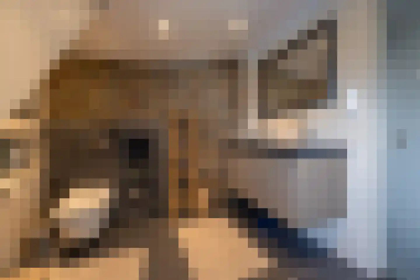 Zuiderzeestraat 48 Aartswoud thumbnail 19