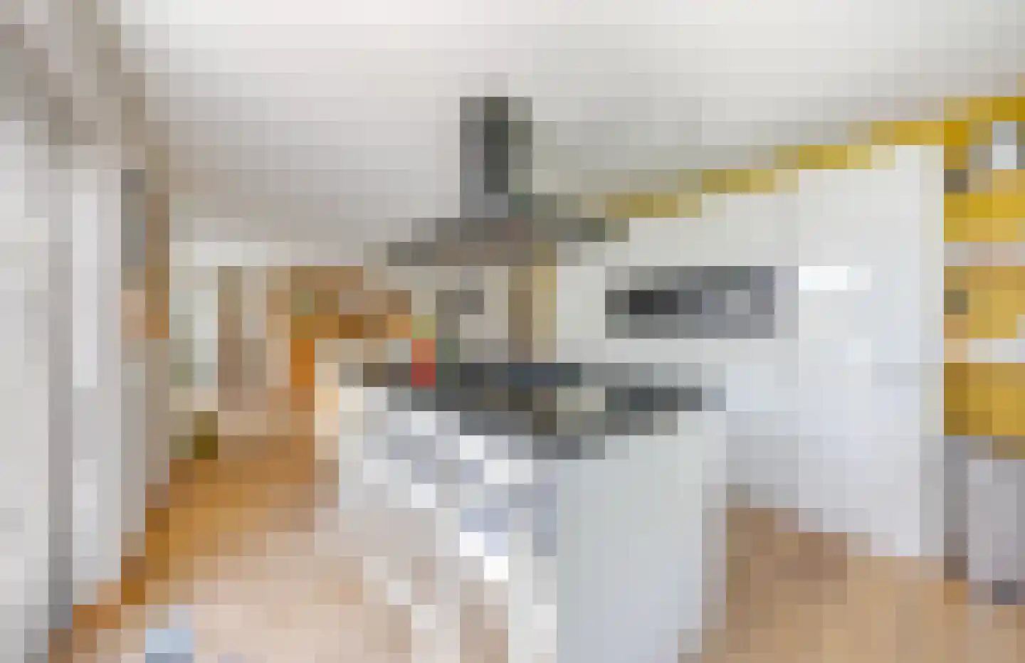 Zuiderzeestraat 48 Aartswoud thumbnail 6