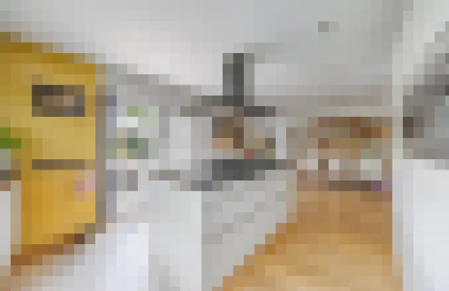 Zuiderzeestraat 48 Aartswoud thumbnail 8