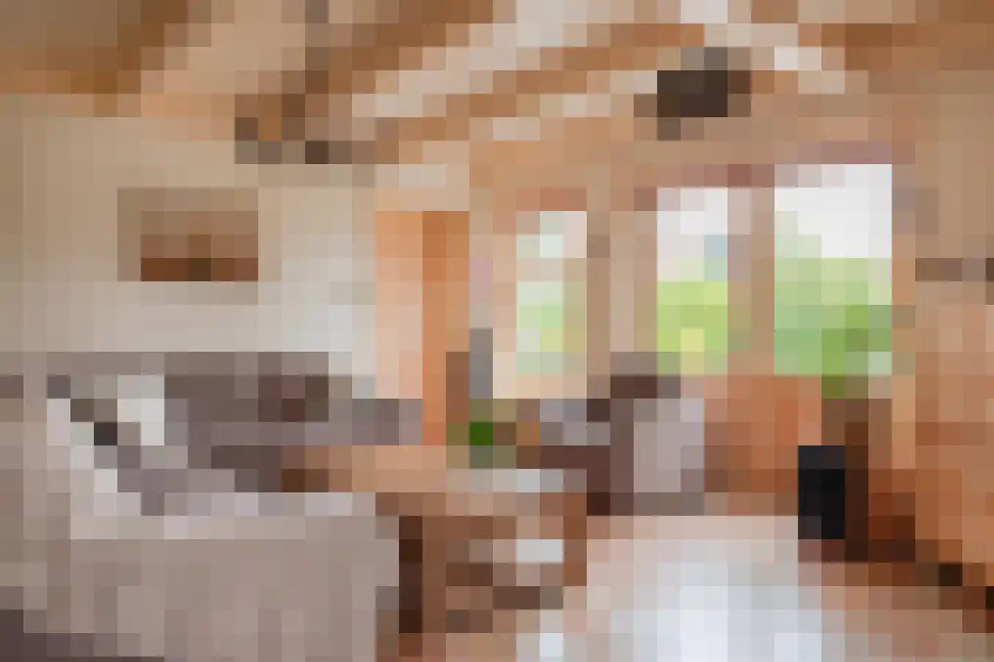 Zuiderzeestraat 53 Aartswoud thumbnail 13