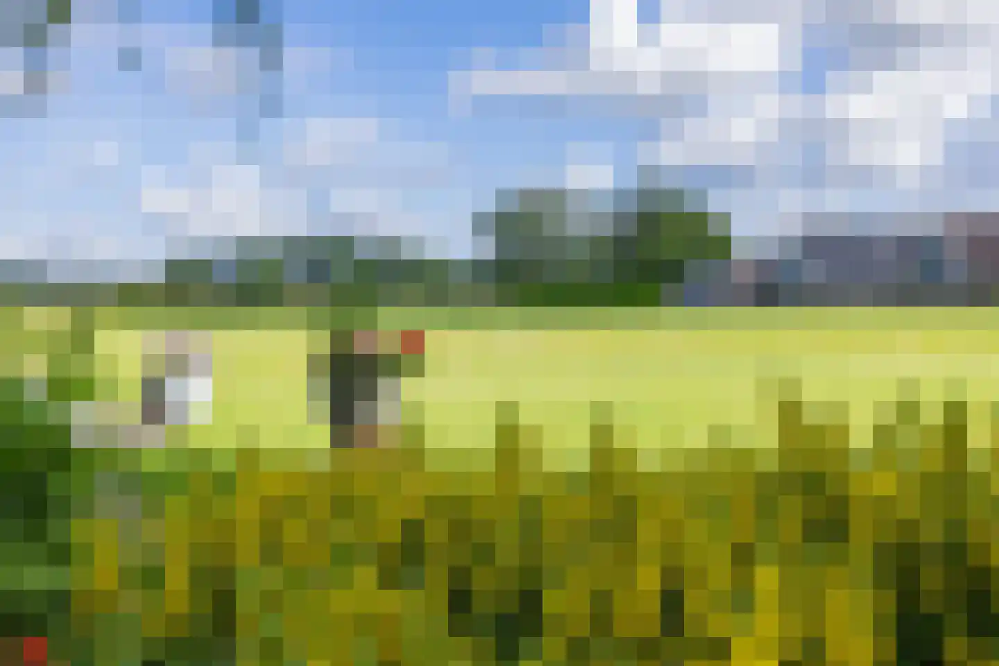 Zuiderzeestraat 53 Aartswoud thumbnail 39