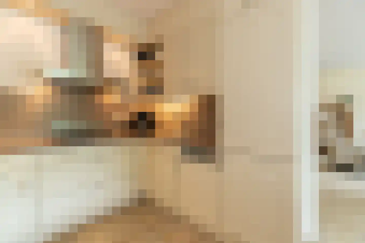 Zuiderzeestraat 6 Sliedrecht thumbnail 18