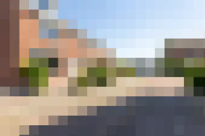 Zuiderzeestraat 8 Oost-Souburg thumbnail 4
