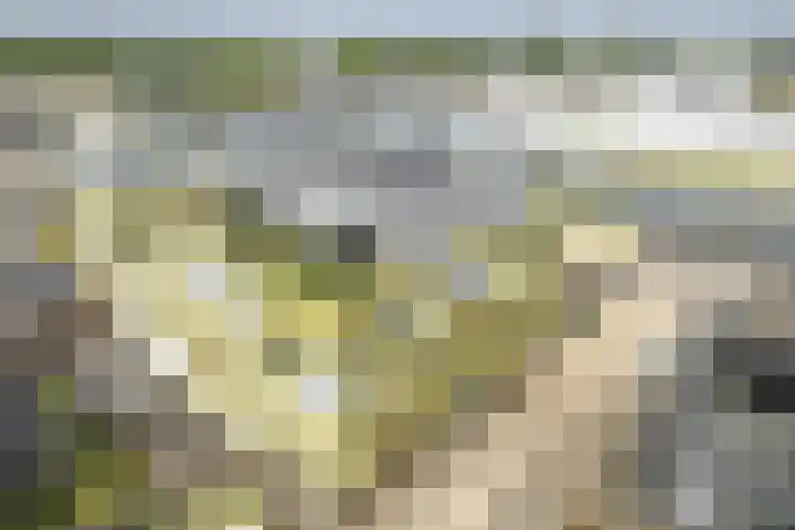 Zuiderzeestraat 91 Deventer