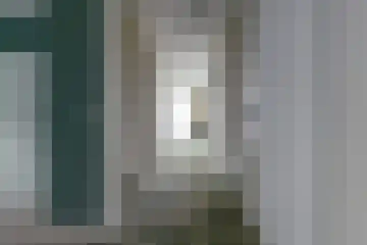 Zuiderzeestraat 91 Deventer thumbnail 11