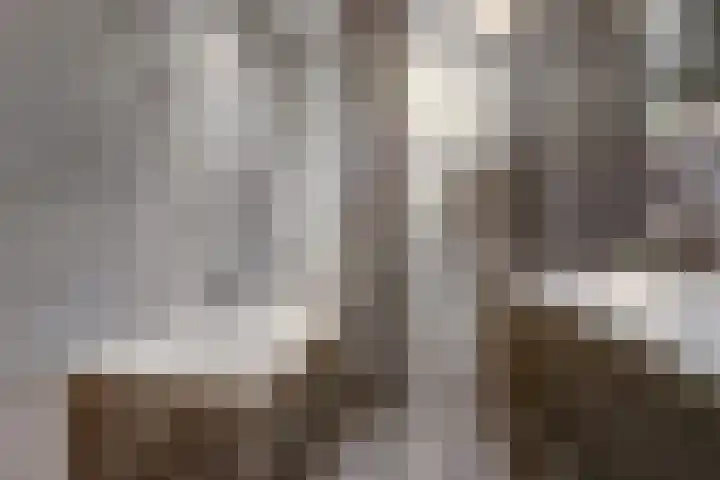 Zuiderzeestraat 91 Deventer thumbnail 34