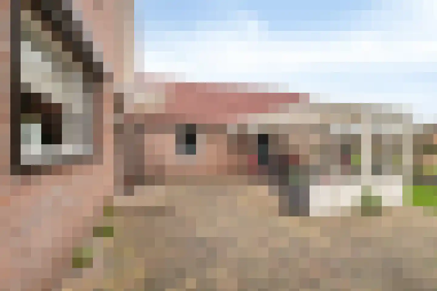 Zuiderzeestraatweg 460 Wezep thumbnail 27