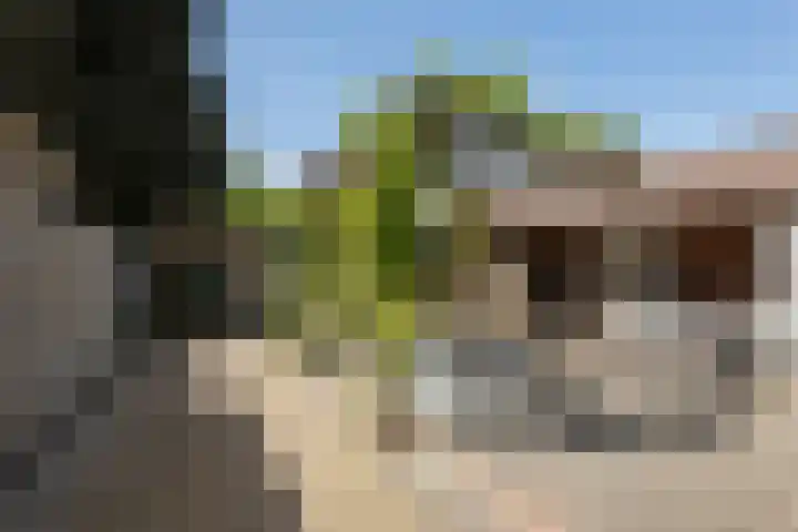 Zuiderzeestraatweg 477 Wezep thumbnail 37