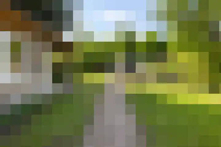 Zuiderzeestraatweg 477 Wezep thumbnail 4