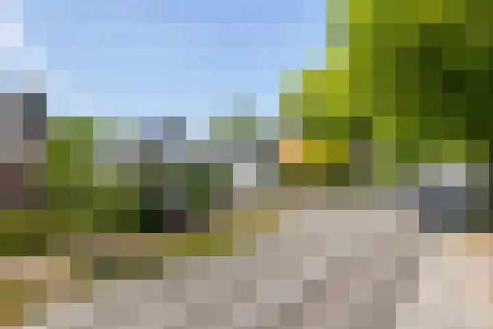 Zuiderzeestraatweg 477 Wezep thumbnail 47