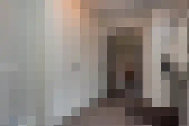 Zuiderzeestraatweg 606 Wezep thumbnail 10