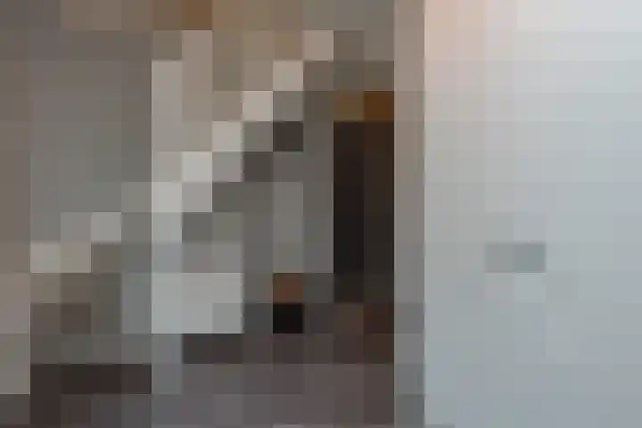 Zuiderzeestraatweg 606 Wezep thumbnail 20