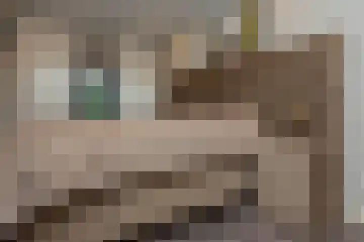 Zuiderzeestraatweg 606 Wezep thumbnail 23