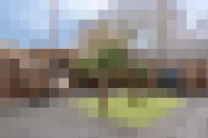 Zuiderzeestraatweg 606 Wezep thumbnail 37