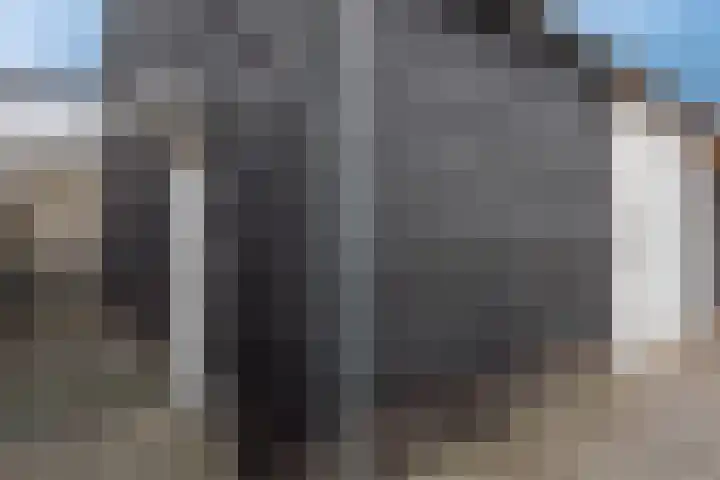 Zuiderzeestraatweg 606 Wezep thumbnail 46