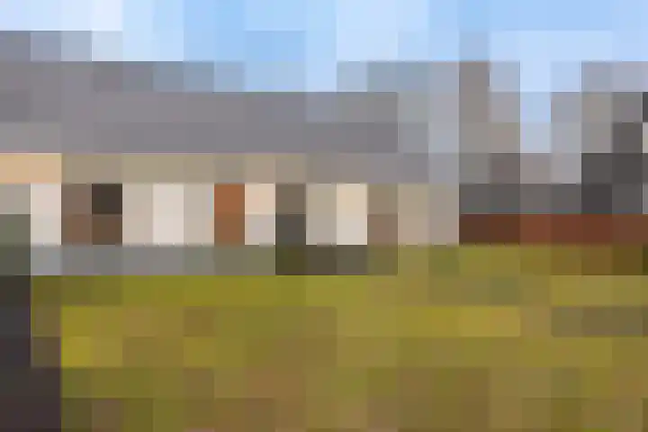 Zuiderzeestraatweg 606 Wezep thumbnail 8