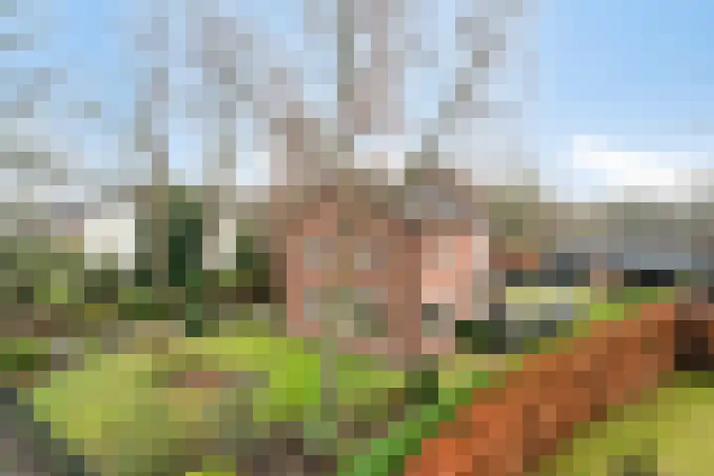 Zuiderzeestraatweg West 77 Doornspijk thumbnail 6