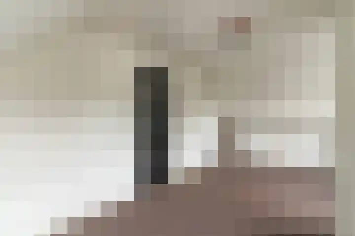 Zuiderzeestraatweg West 95 Doornspijk thumbnail 27