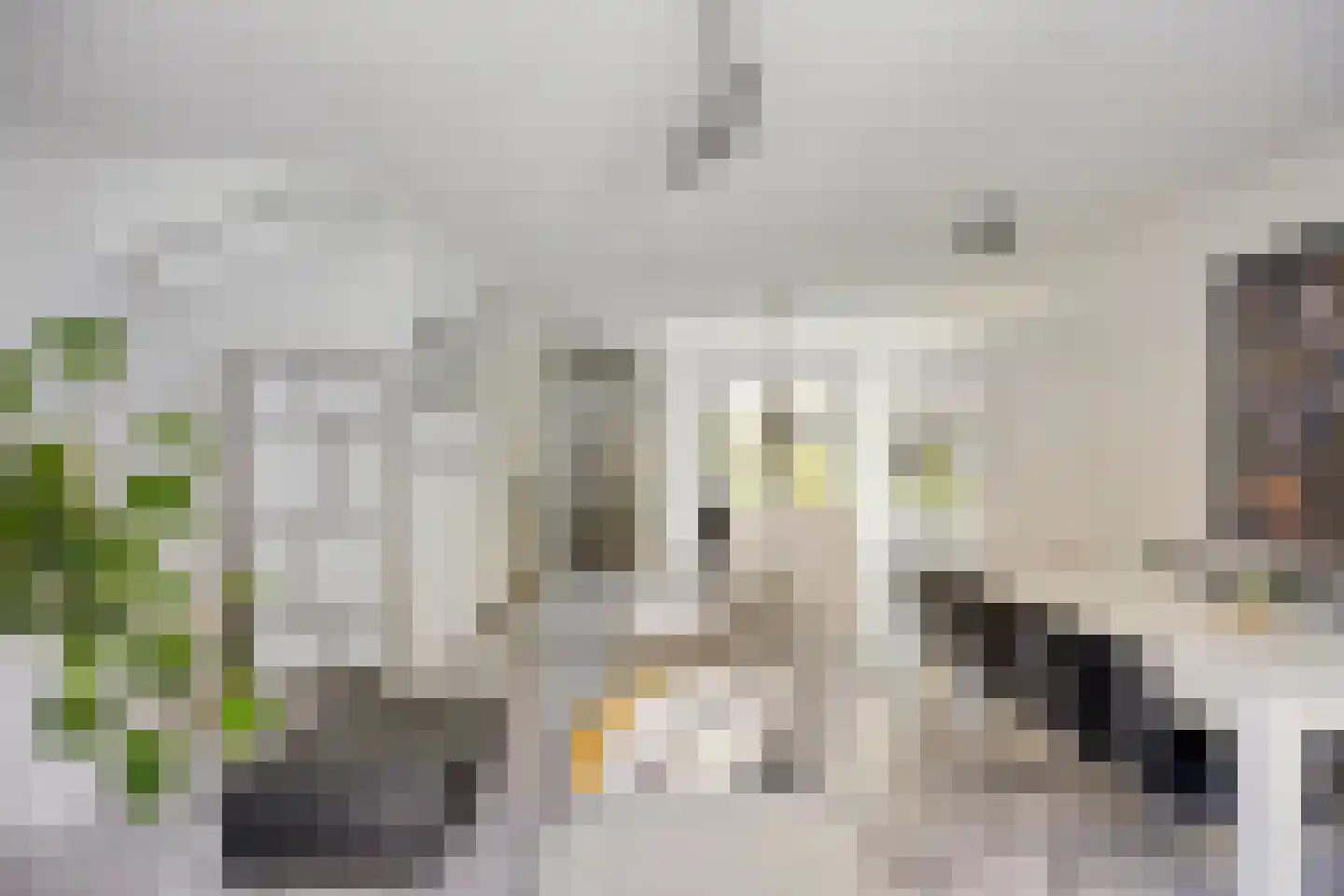 Zuiderziekenhuisstraat 26 Rotterdam thumbnail 12