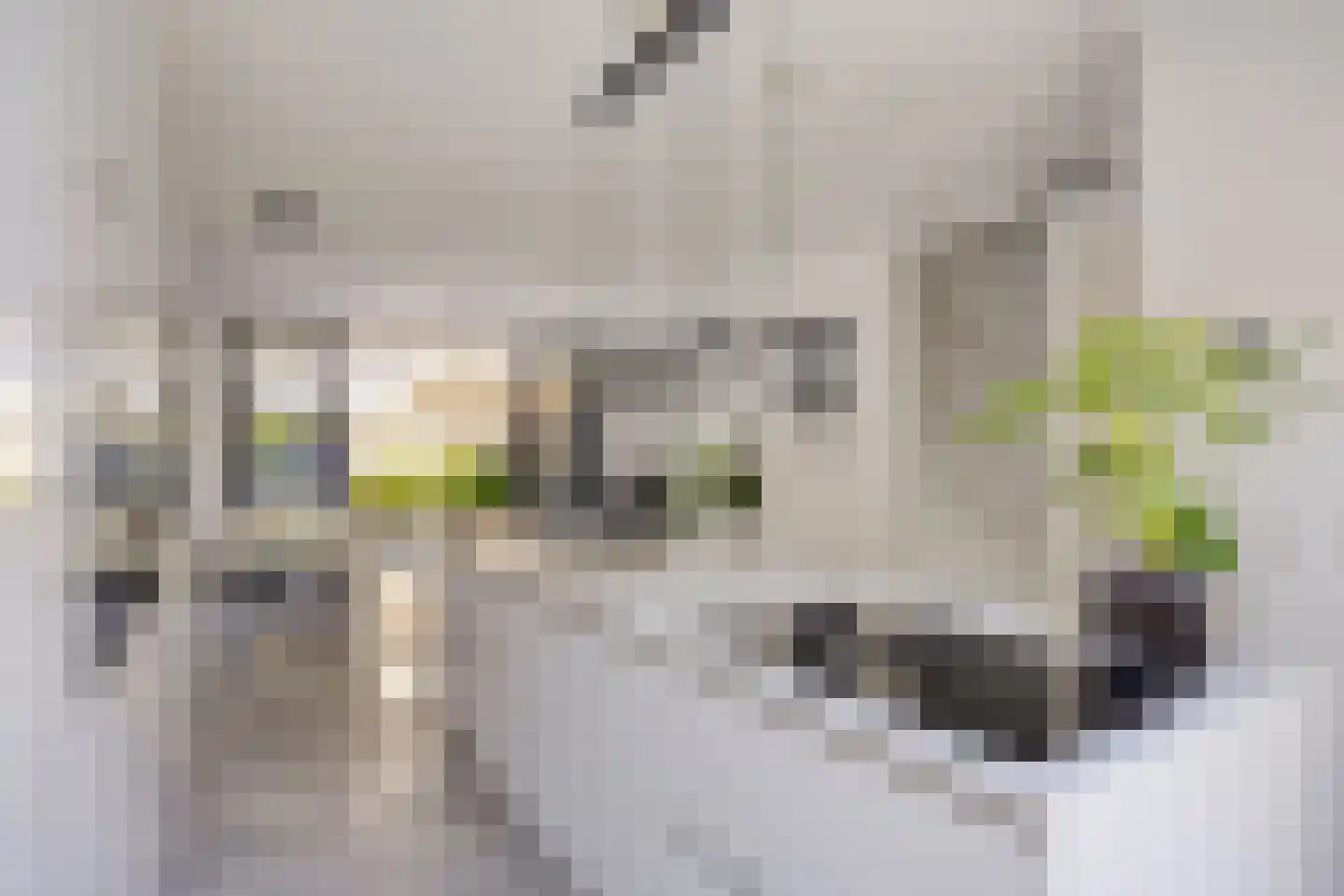 Zuiderziekenhuisstraat 26 Rotterdam thumbnail 18