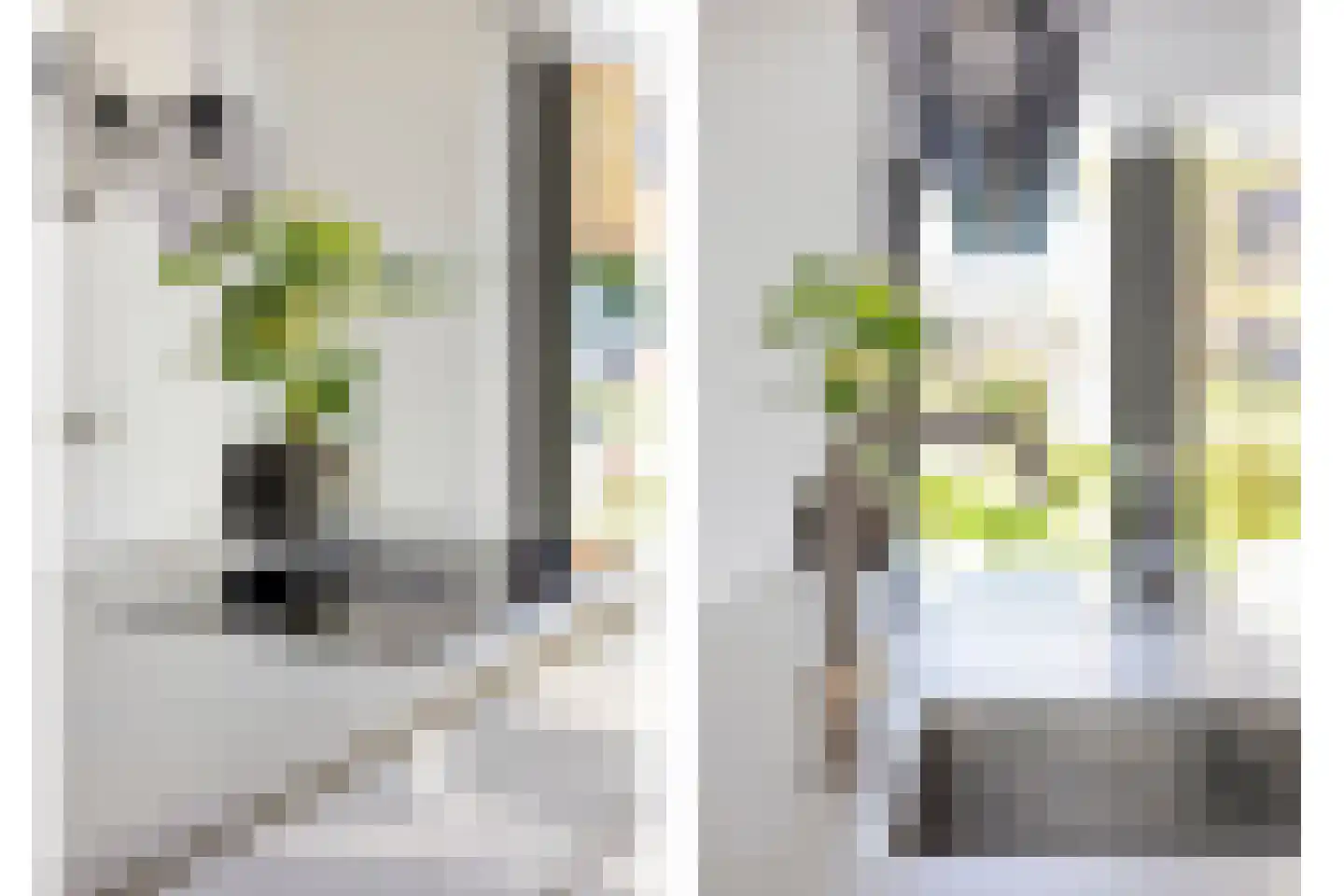 Zuiderziekenhuisstraat 26 Rotterdam thumbnail 19