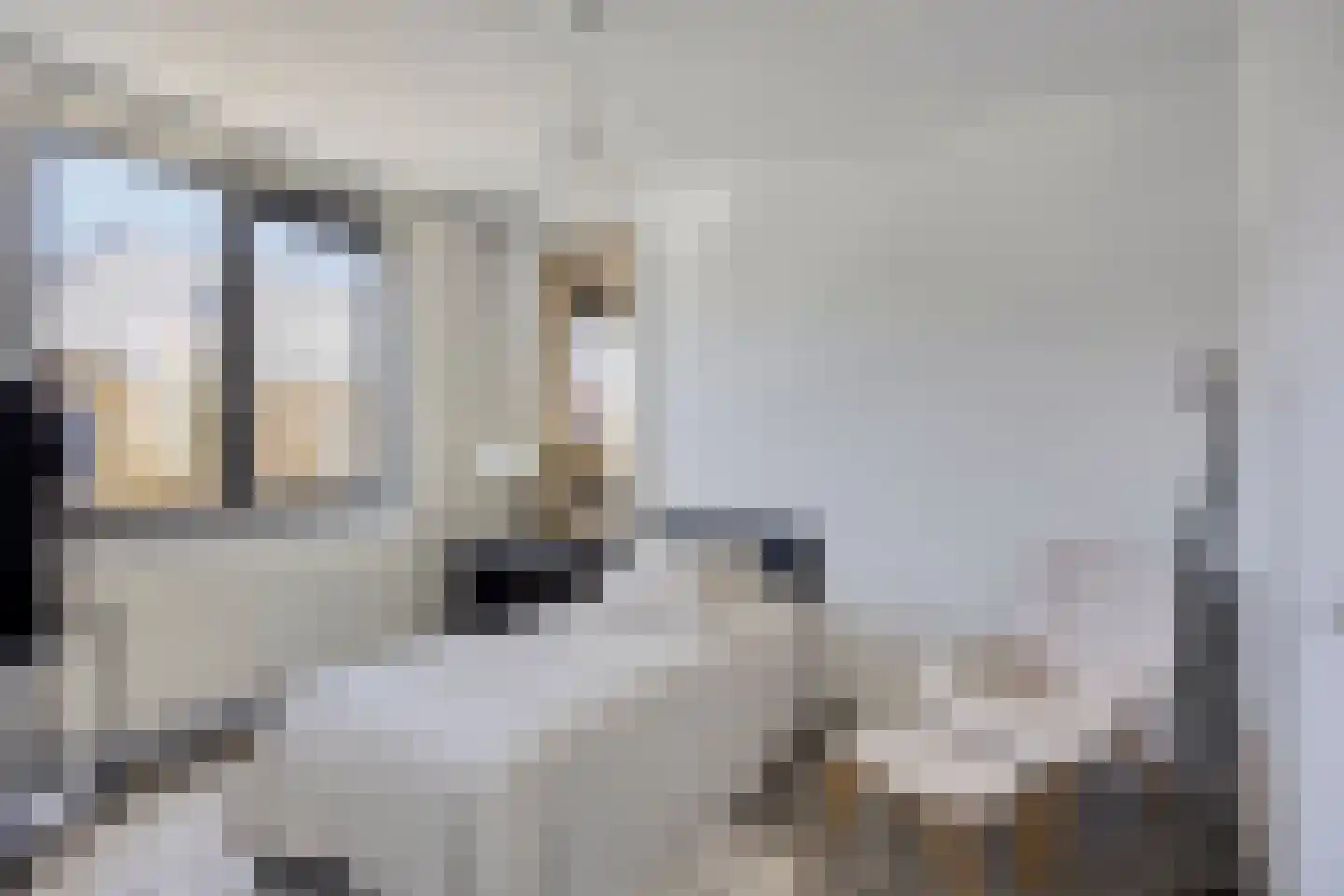 Zuiderziekenhuisstraat 26 Rotterdam thumbnail 31