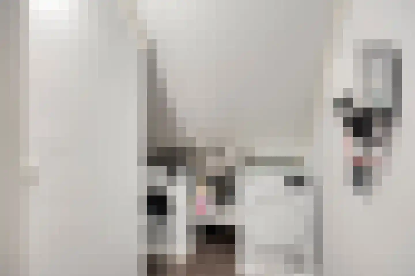 Zuiderziekenhuisstraat 26 Rotterdam thumbnail 41