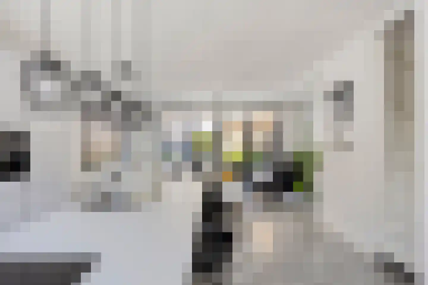 Zuiderziekenhuisstraat 26 Rotterdam thumbnail 9