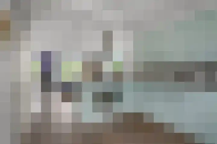 Zuiderzoom 54 Koog aan de Zaan thumbnail 10