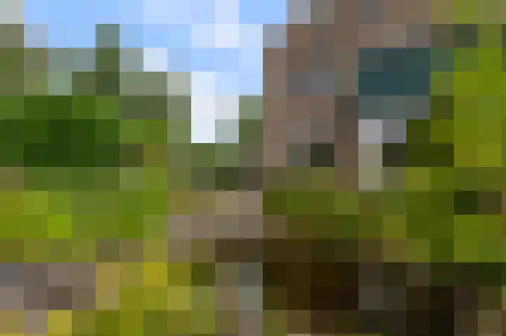 Zuiderzoom 54 Koog aan de Zaan thumbnail 12