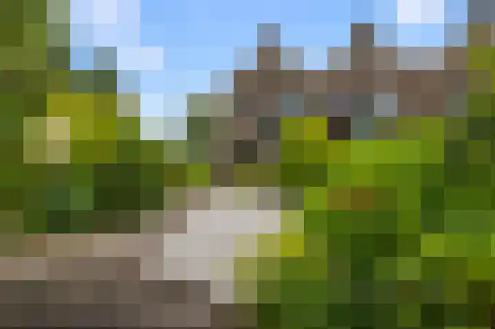 Zuiderzoom 54 Koog aan de Zaan thumbnail 13