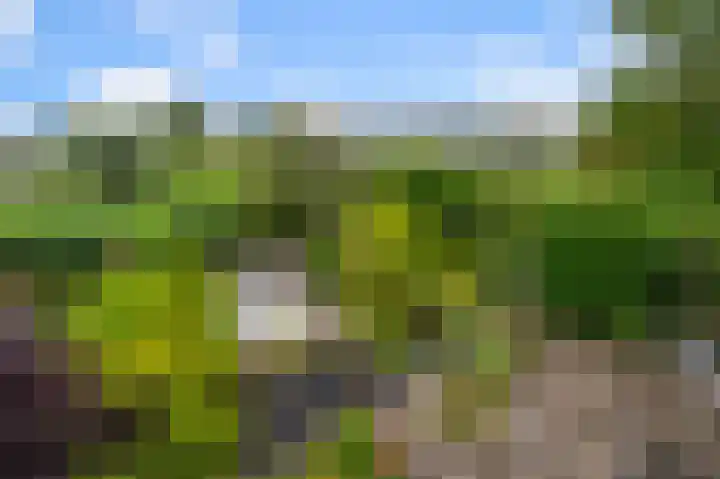 Zuiderzoom 54 Koog aan de Zaan thumbnail 14