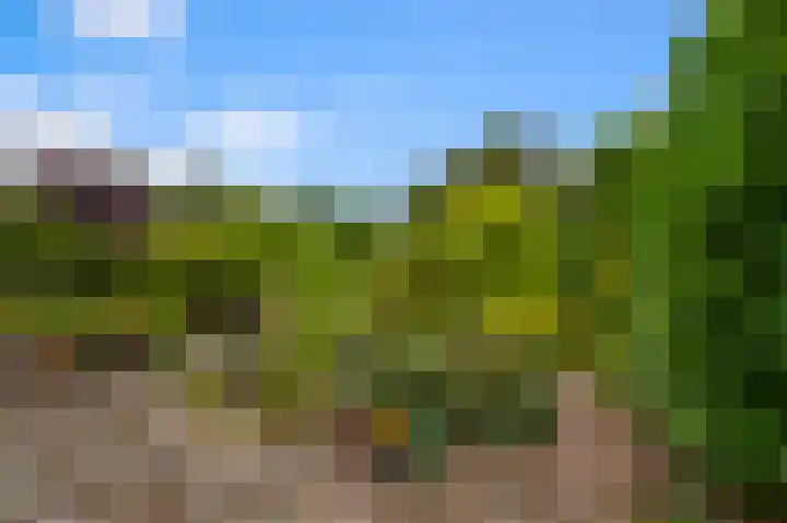 Zuiderzoom 54 Koog aan de Zaan thumbnail 15