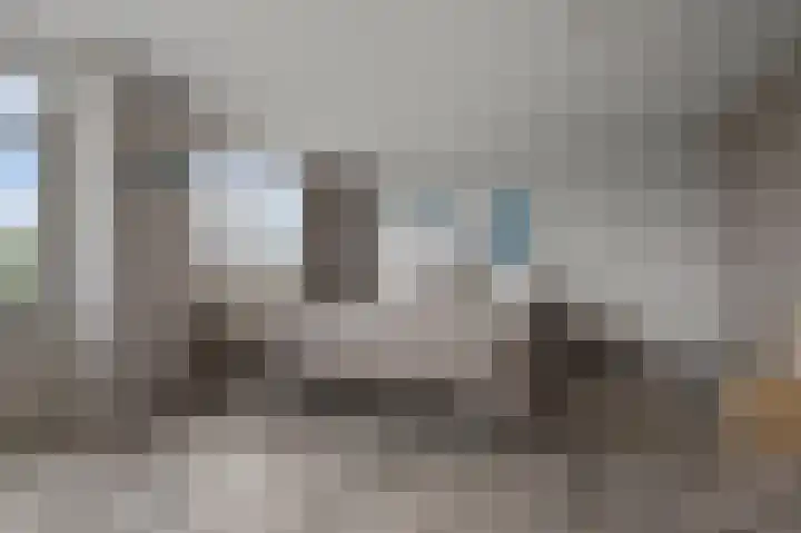 Zuiderzoom 54 Koog aan de Zaan thumbnail 18