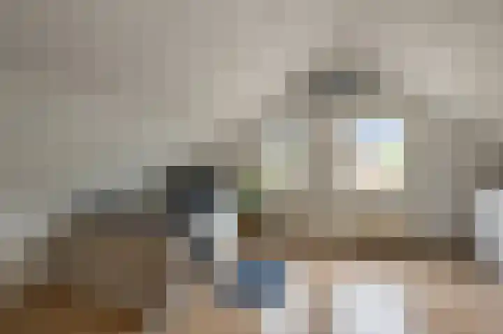 Zuiderzoom 54 Koog aan de Zaan thumbnail 26