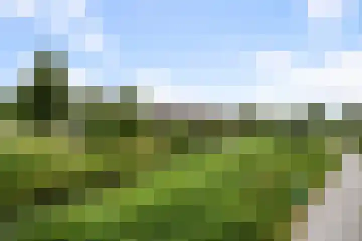 Zuiderzoom 54 Koog aan de Zaan thumbnail 28