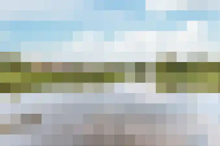 Zuiderzoom 54 Koog aan de Zaan thumbnail 29