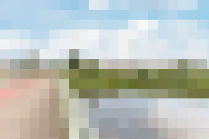 Zuiderzoom 54 Koog aan de Zaan thumbnail 30