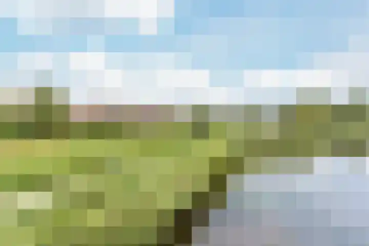 Zuiderzoom 54 Koog aan de Zaan thumbnail 31