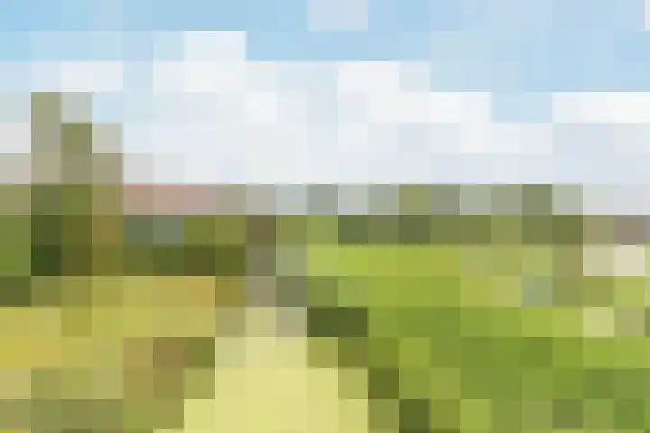 Zuiderzoom 54 Koog aan de Zaan thumbnail 33