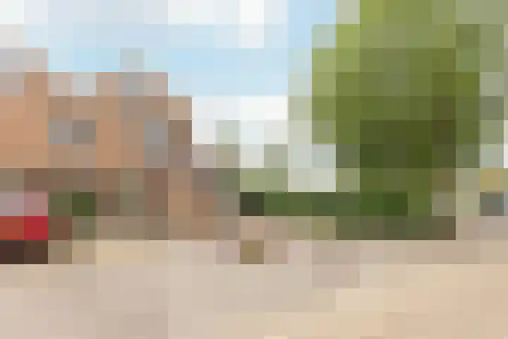 Zuiderzoom 54 Koog aan de Zaan thumbnail 37