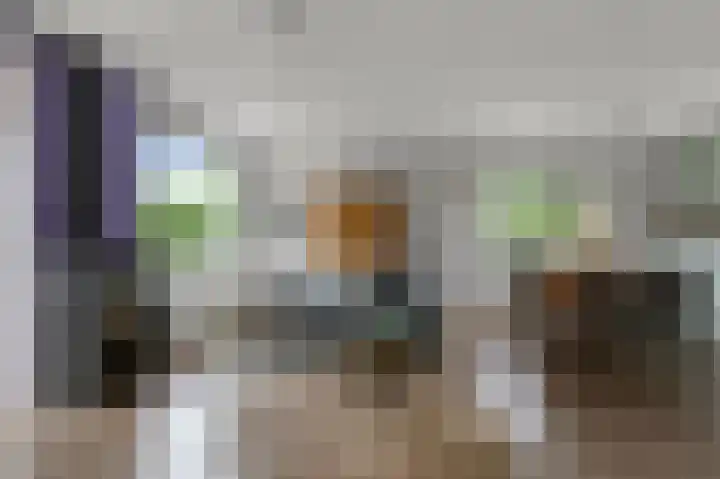 Zuiderzoom 54 Koog aan de Zaan thumbnail 4