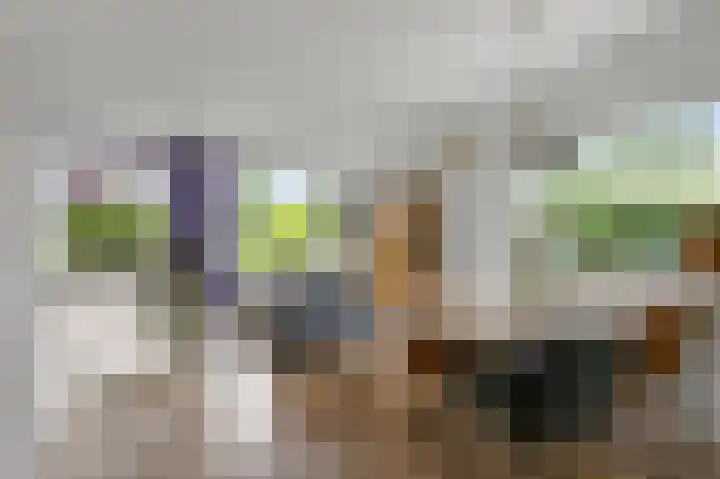 Zuiderzoom 54 Koog aan de Zaan thumbnail 5
