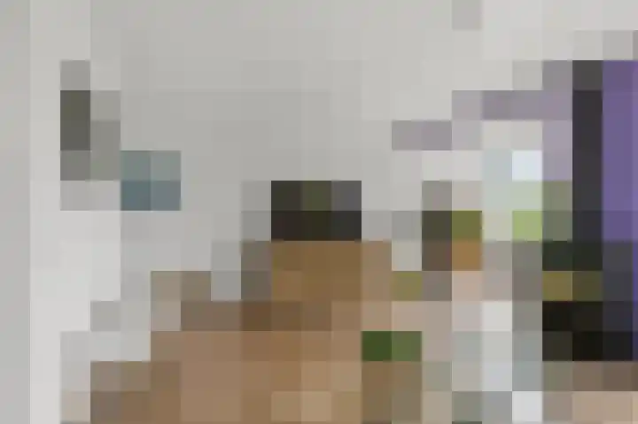 Zuiderzoom 54 Koog aan de Zaan thumbnail 6