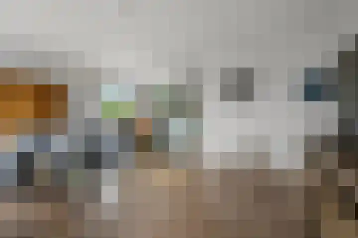 Zuiderzoom 54 Koog aan de Zaan thumbnail 9
